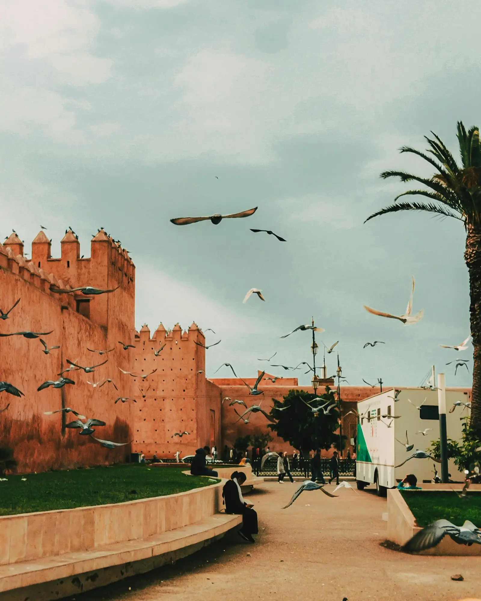 Day Trips from Fez travel experience in Morocco
