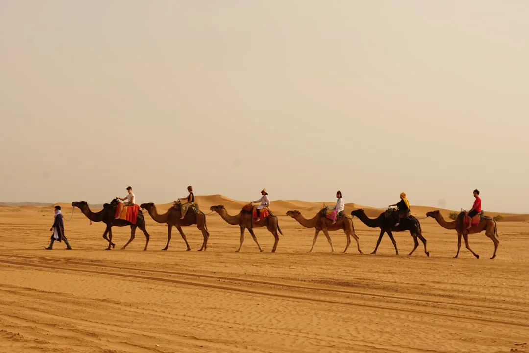 Fez to Sahara Desert Adventure in Morocco