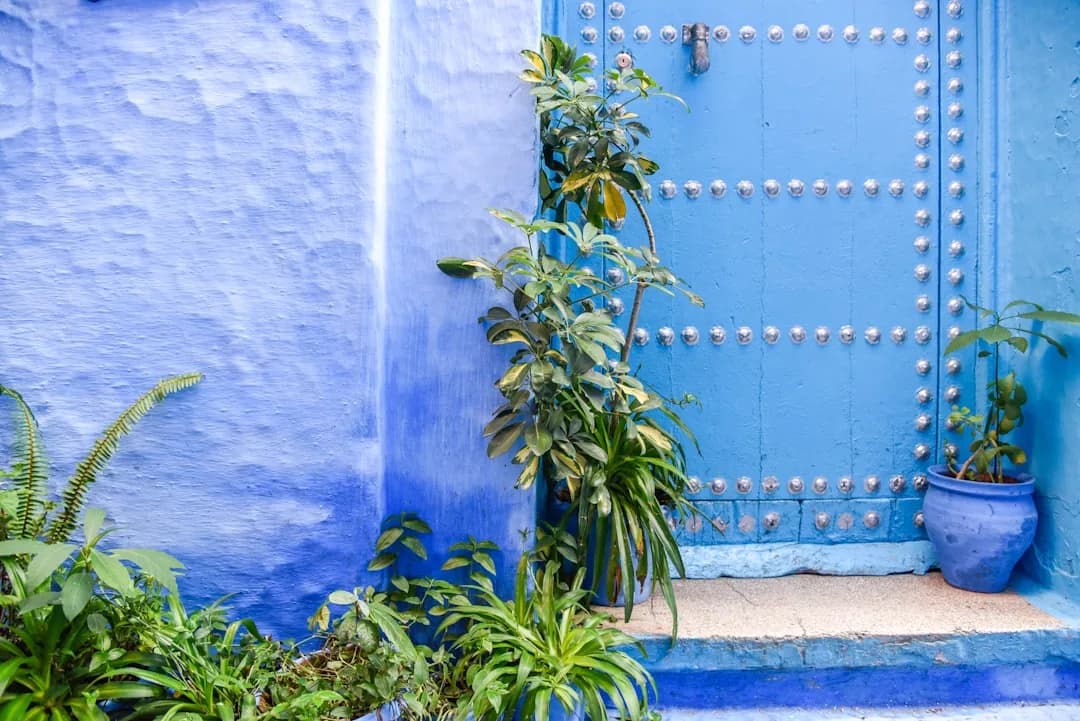 Chefchaouen: The Blue City tour scene 6