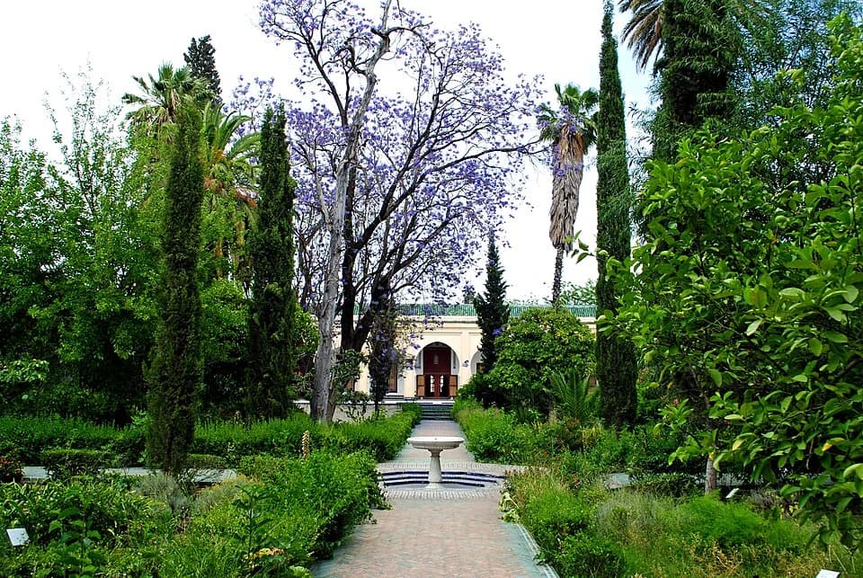 The Museums of the Medina in Morocco
