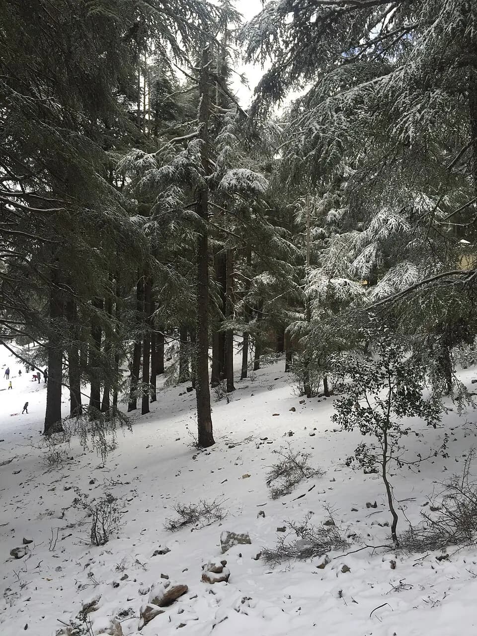 Fez to Sahara Desert Adventure tour scene 2