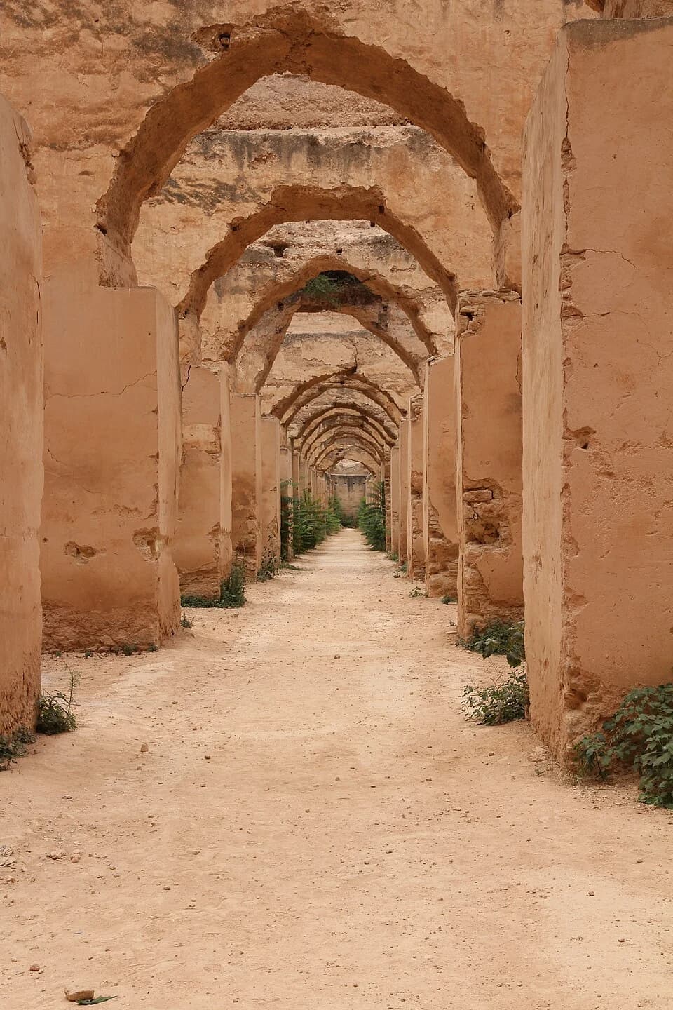 Meknes and Volubilis tour scene 4